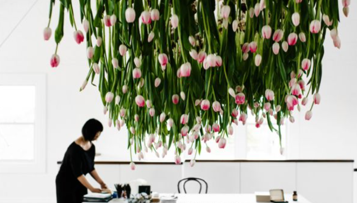 tulip ceiling installation