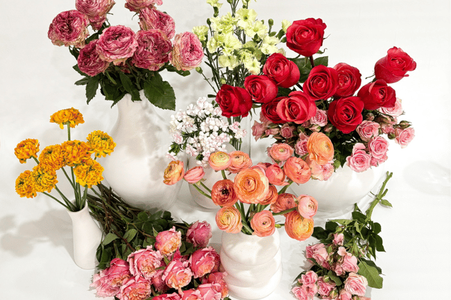 Blog pictures horizontral