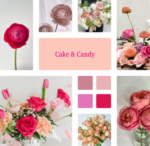Cake & Candy