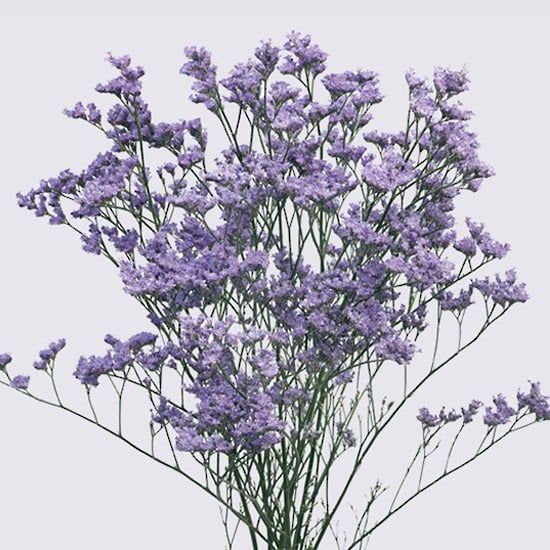 California_blue