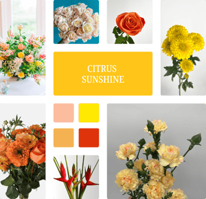 Citrus Sunshine