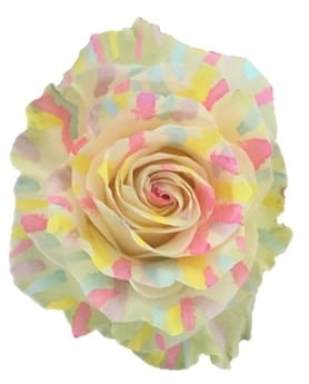 EASTER_FESTIVITY_WHITE-2