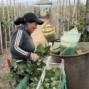 Celebrating Women In Agriculture: Women-Owned Farms This Women's Day