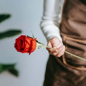 Florist Checklist for Valentine's Day: Preparing for the Season of Love
