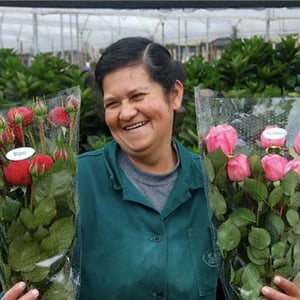 Mother’s Day Flowers 2020 Fun Facts!