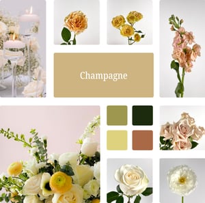 Champage