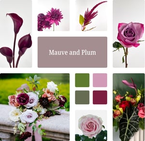 Mauve and Plum