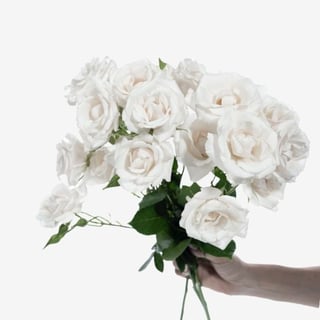 Spray_Roses_White_Majolika