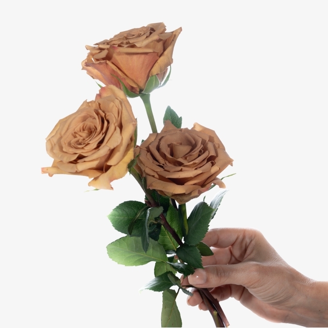 roses_toffee