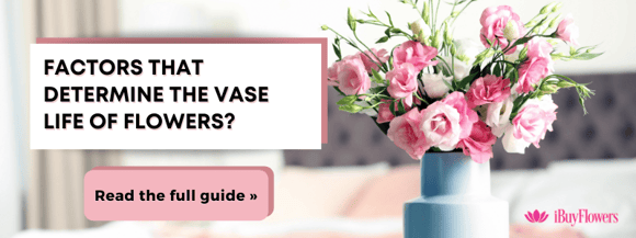 What factors determine the vase life of flowers?