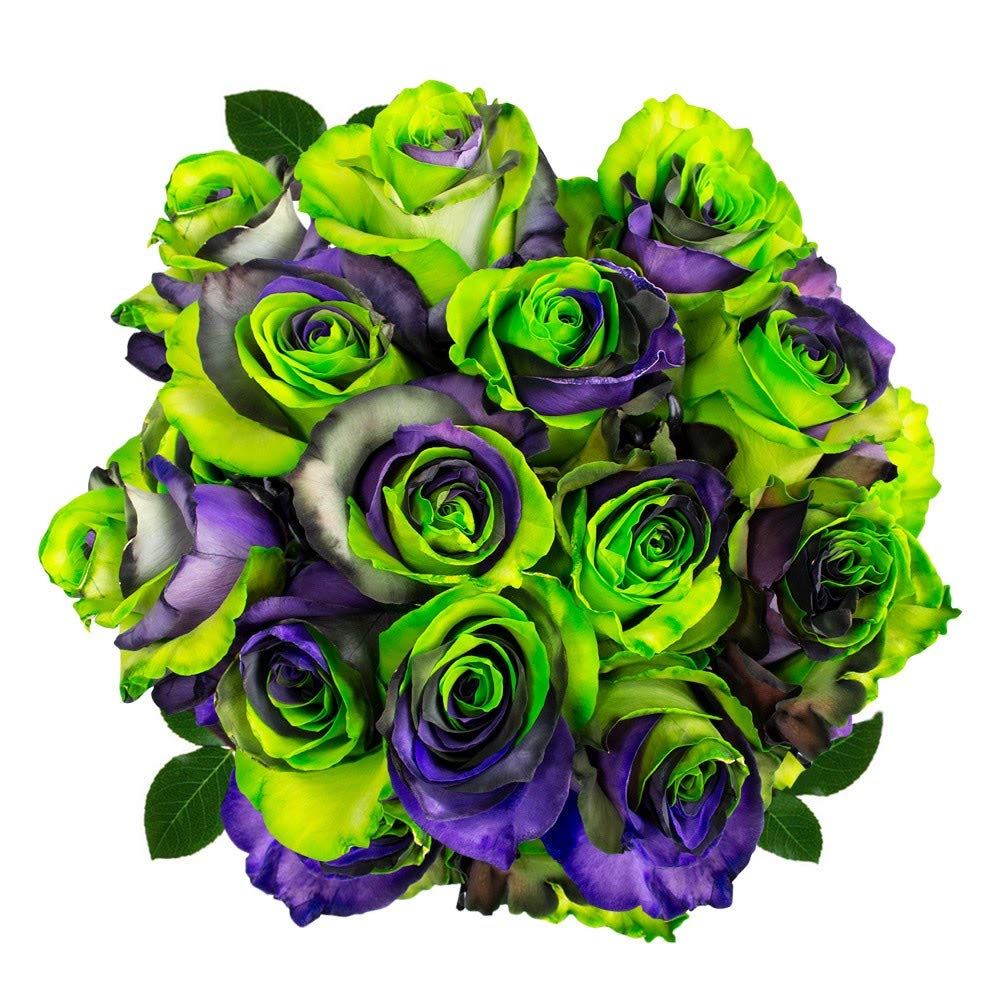 ST PATRICK TRE COLOR_