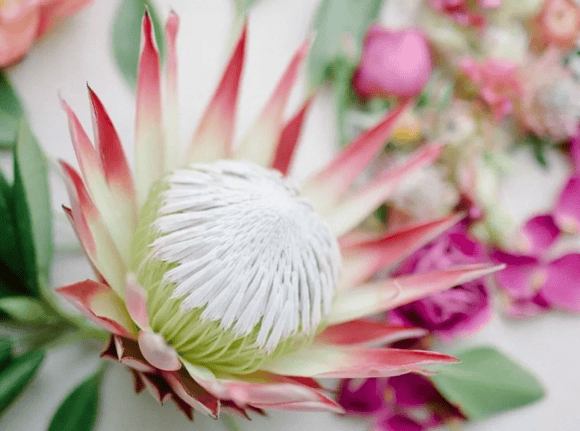 8 floral photography secrets that will increase your profits!