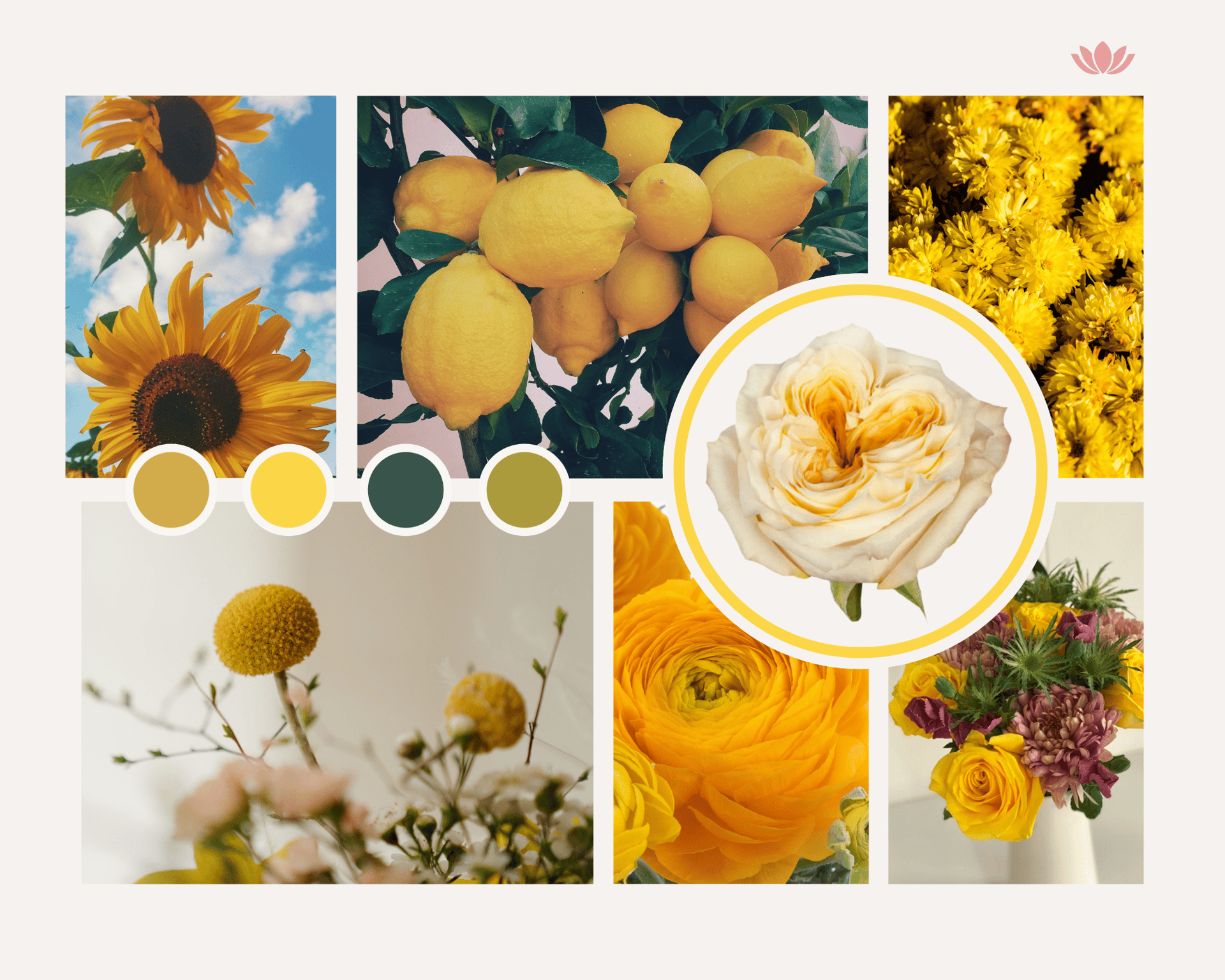 Blog banner