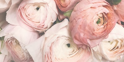 Color Story - Spring Weddings