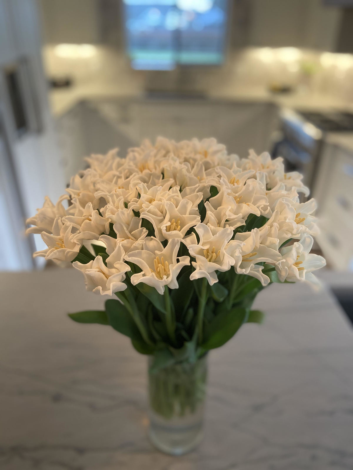 White_Liberstar_1200x