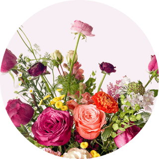 All Flowers
