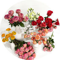 All Flowers