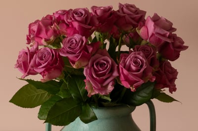 The Real Journey of Your Valentine's Day Roses