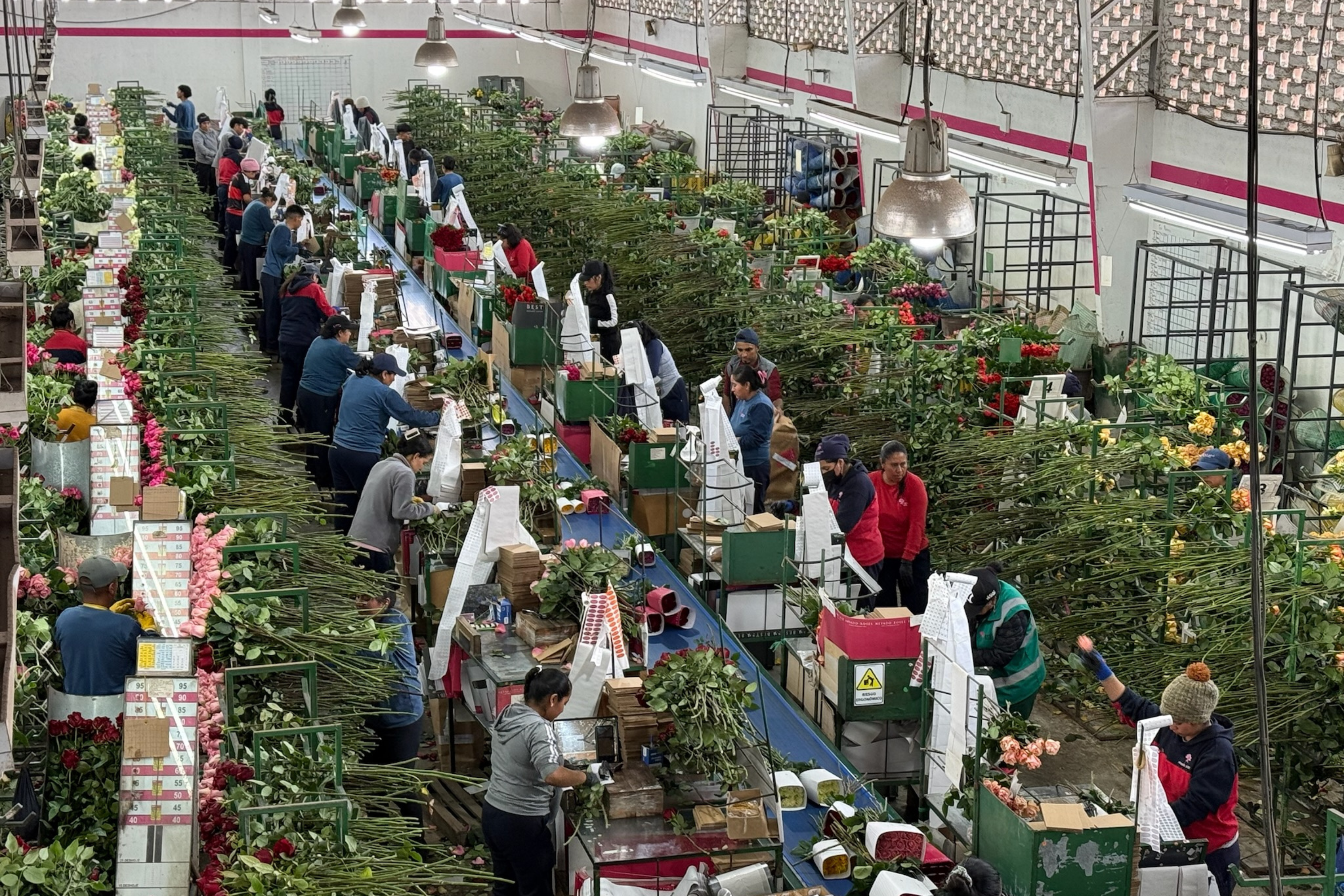 farm direct blog