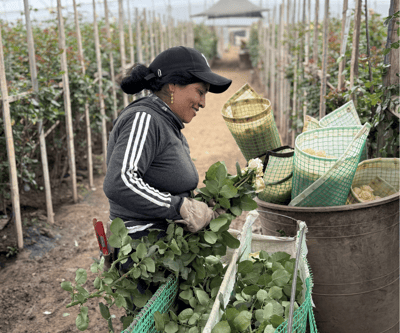 Celebrating Women In Agriculture: Women-Owned Farms This Women's Day