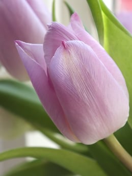 fliss-clooney--bU3i5TnuSc-unsplash