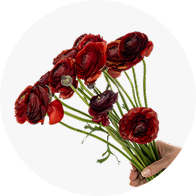 Focal Flowers