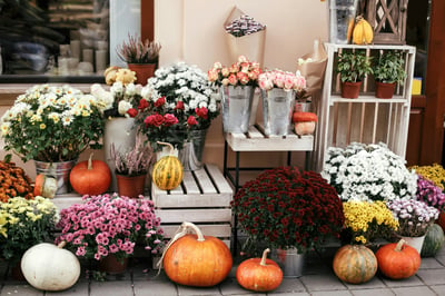Let’s Talk Fall 2026 Content: Social Media Tips for Florists