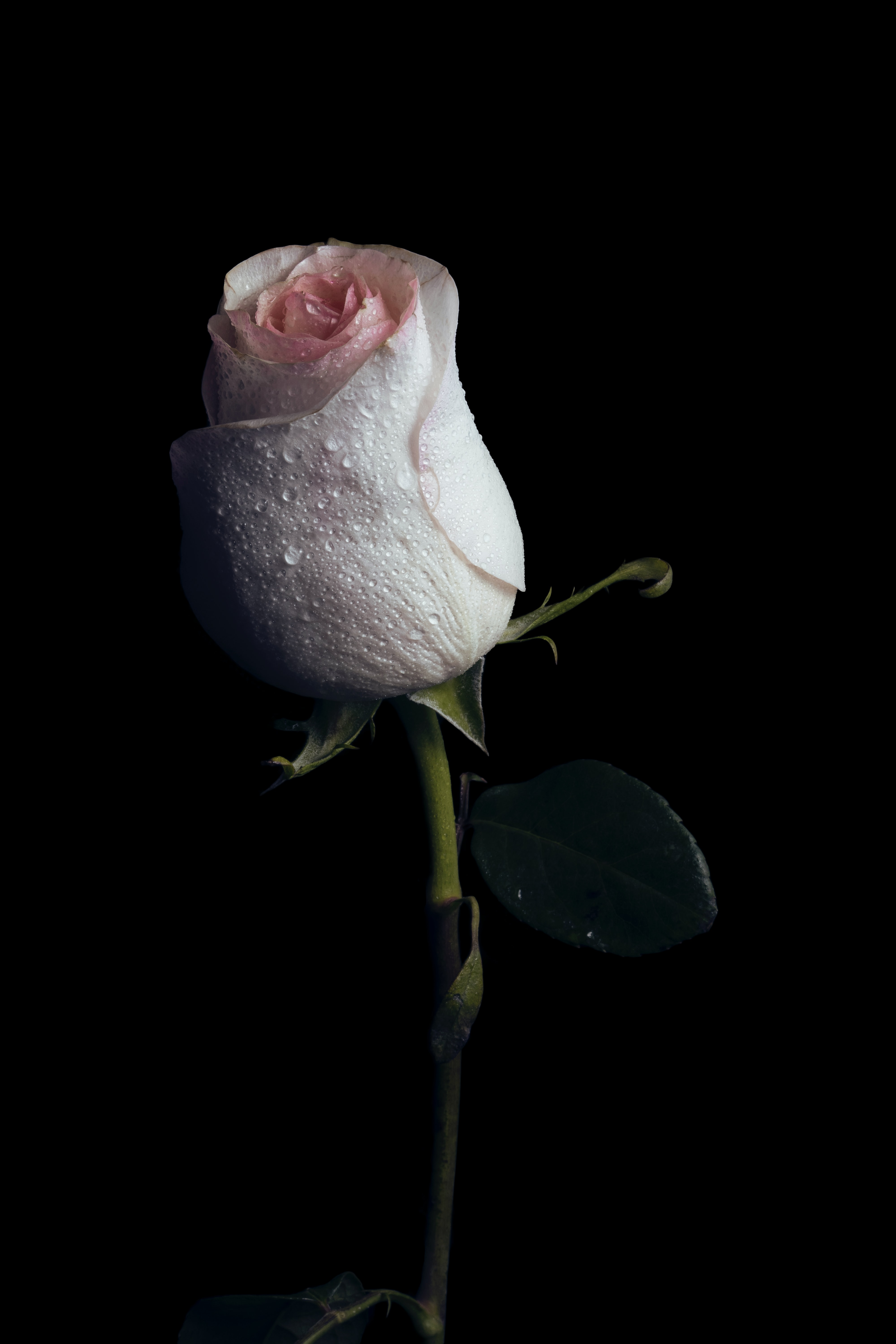 henry-be-fj8khFz0jko-unsplash