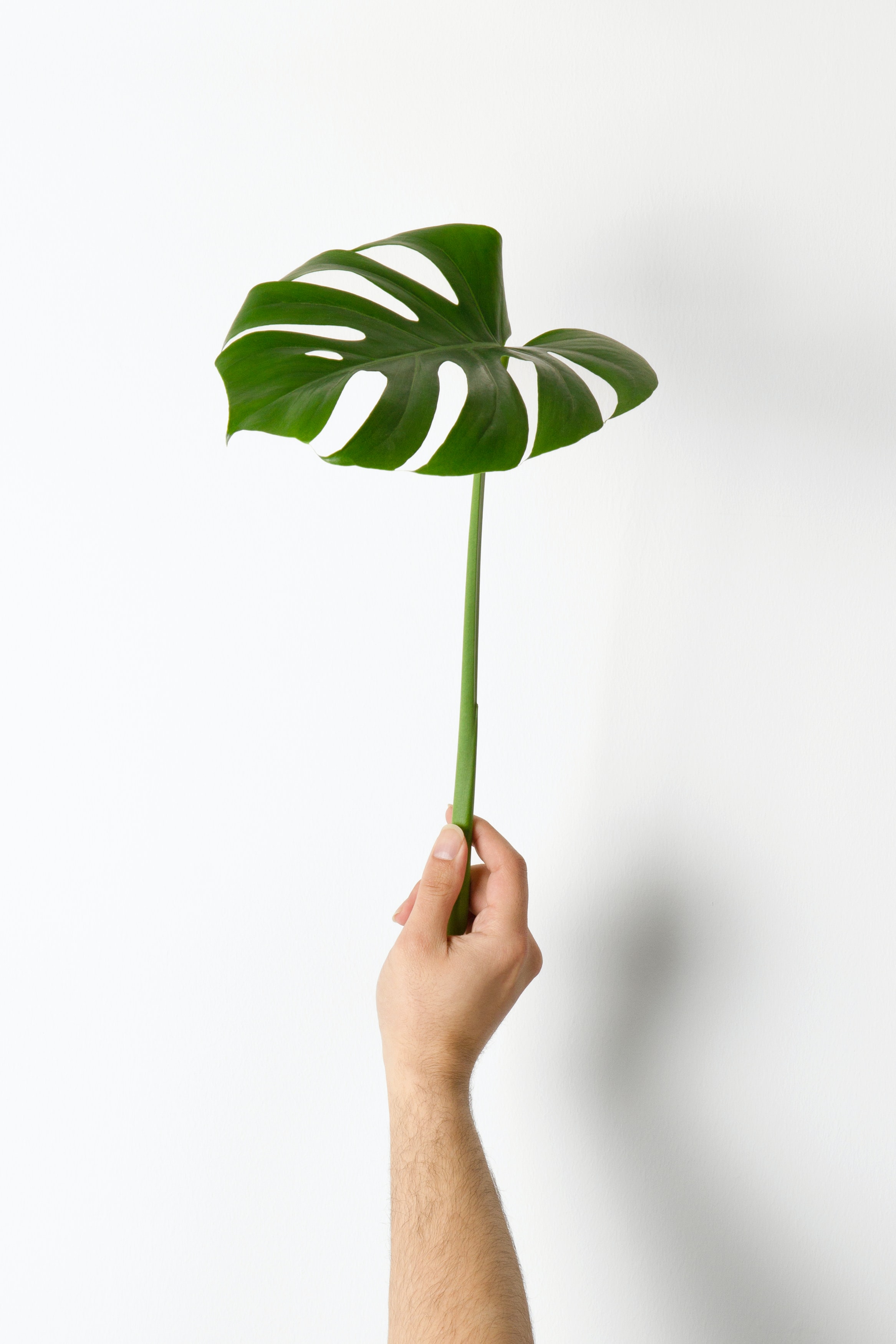 hudai-gayiran-3Od_VKcDEAA-unsplash