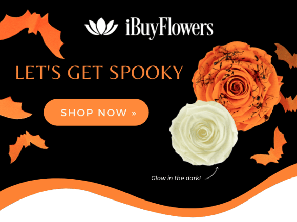 Preserved roses Halloween collection