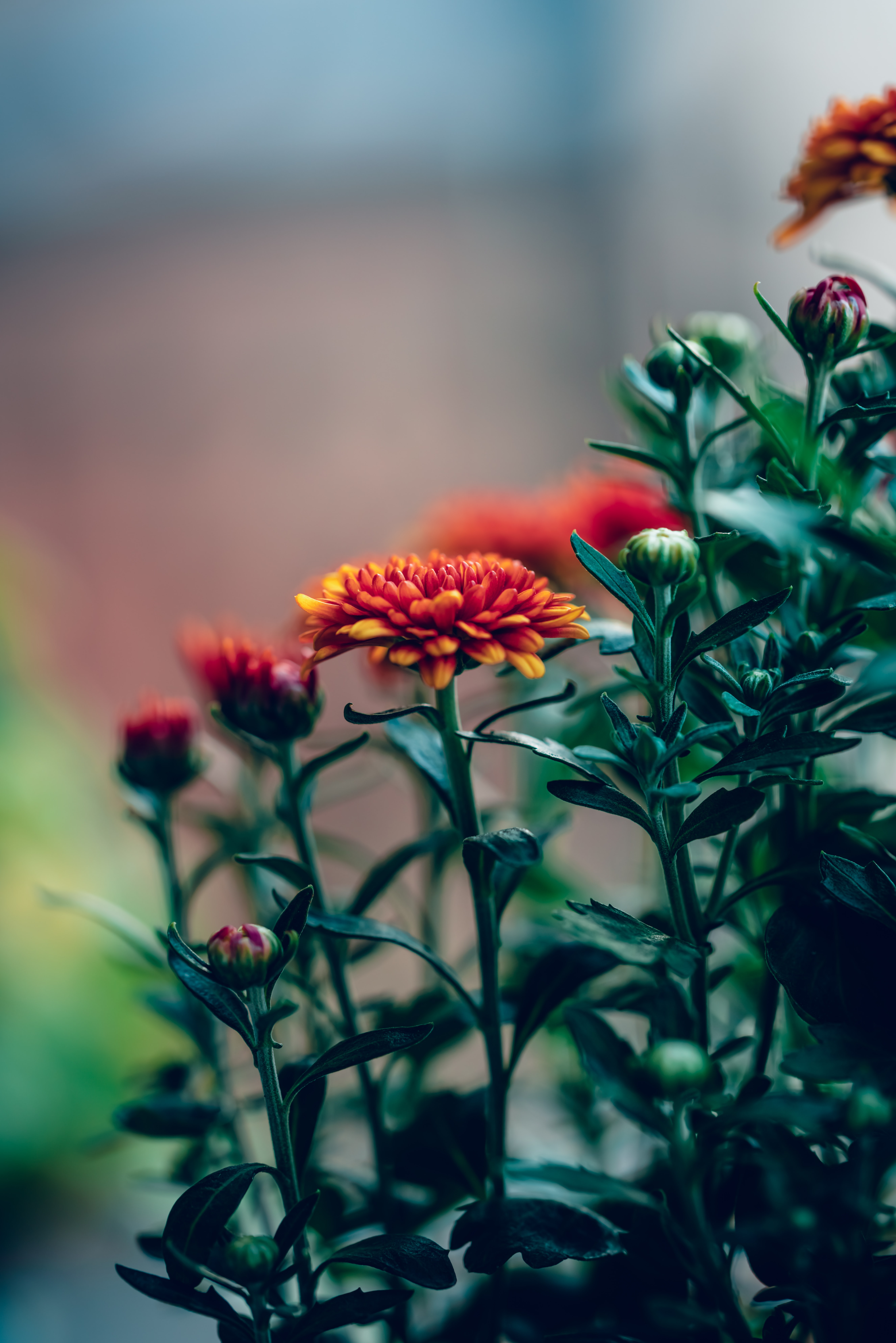 jerry-wang-Mvso0DFzXs0-unsplash
