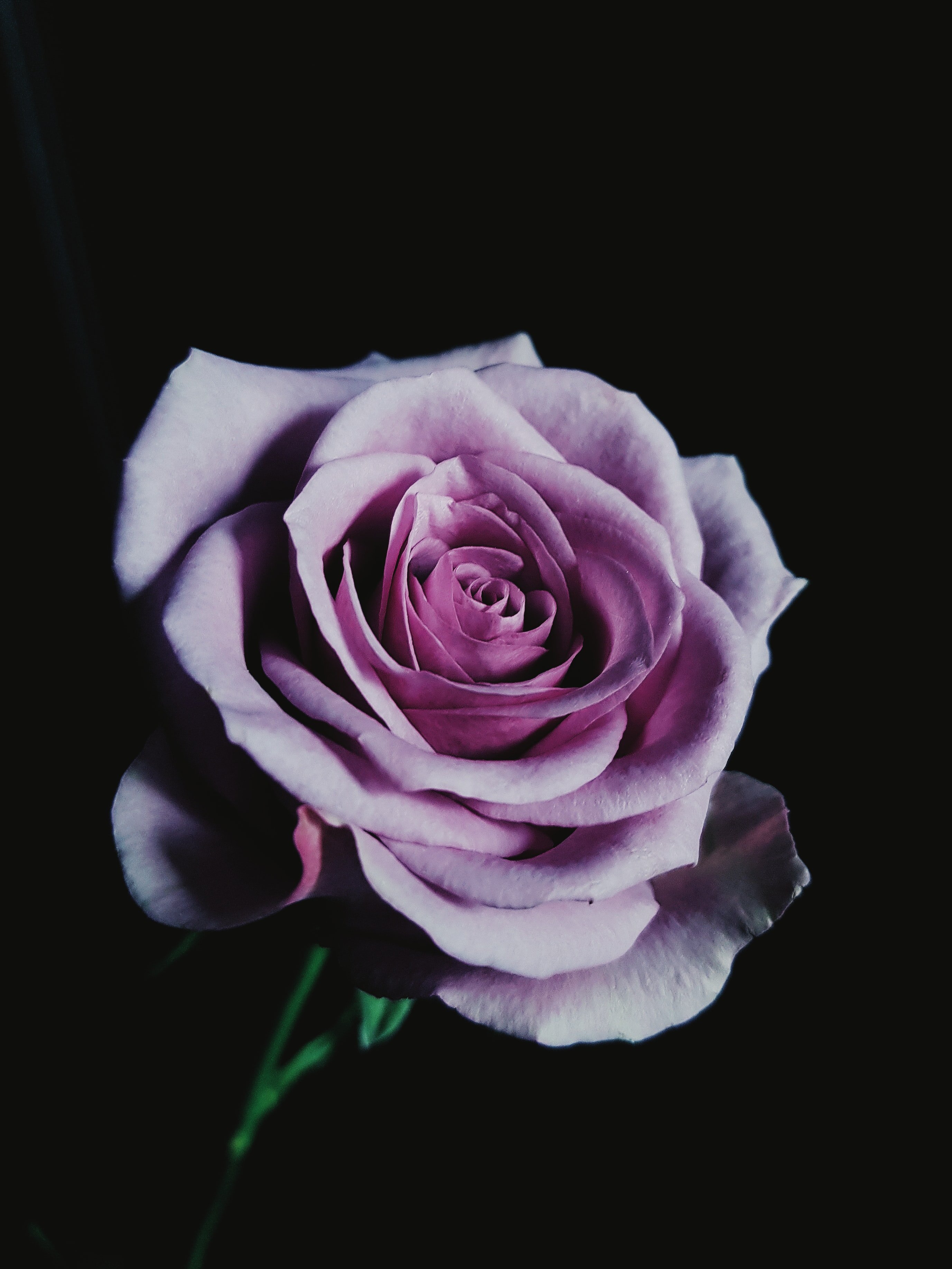 kien-do-4zoaQcXj2KY-unsplash