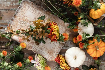 Seasonal Standouts: Four Mood Boards to Spark Your Creativity in 2026