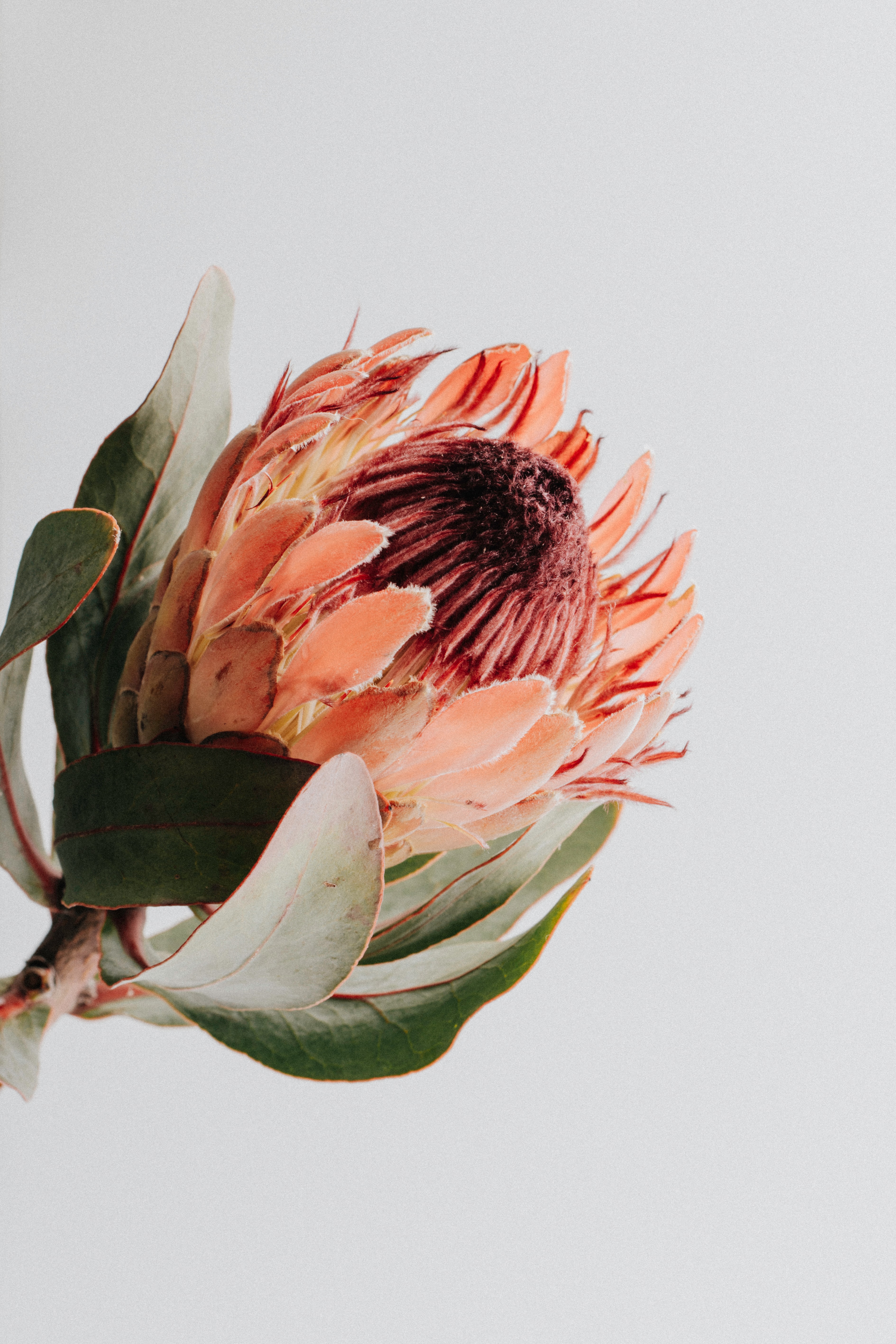 tim-ford-StL73yXGRx0-unsplash
