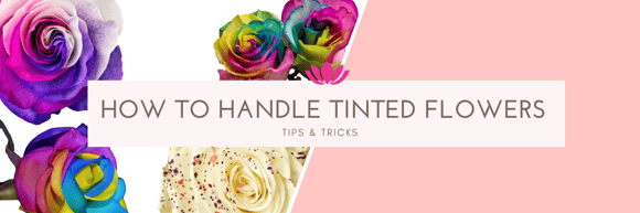 Tips & Tricks for handling tinted flowers