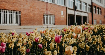 How to Grow Sales by Partnering with Local Schools
