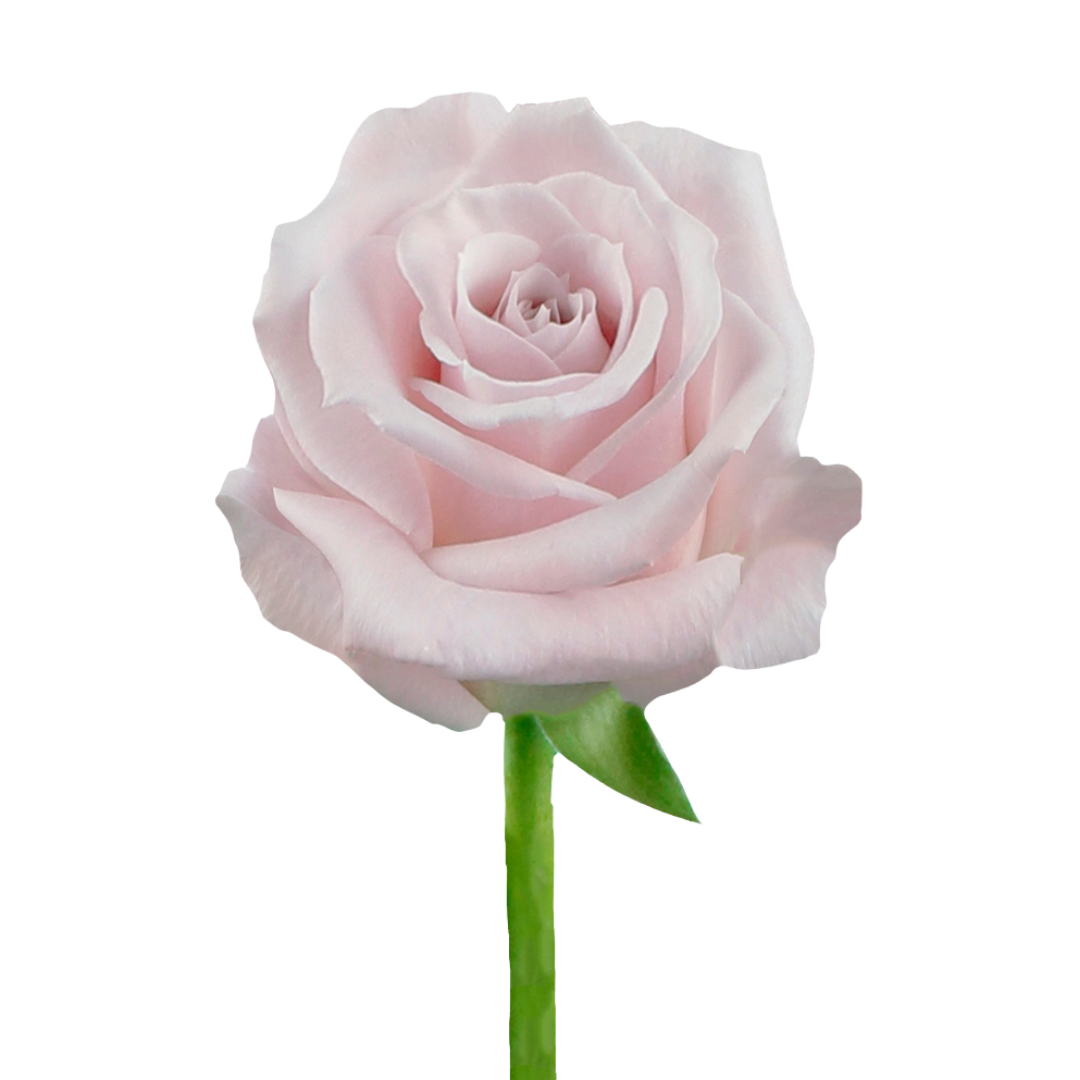 1 - 2026-01-23T152012.260