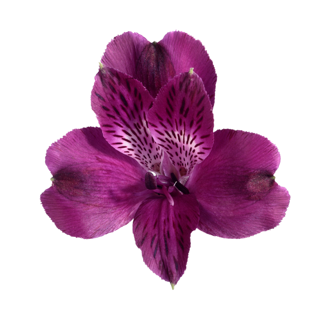 1 - 2026-01-23T153019.414