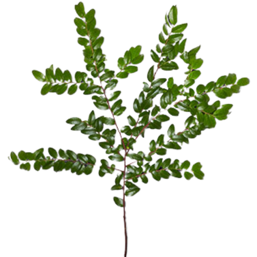 1 - 2026-01-23T153308.738