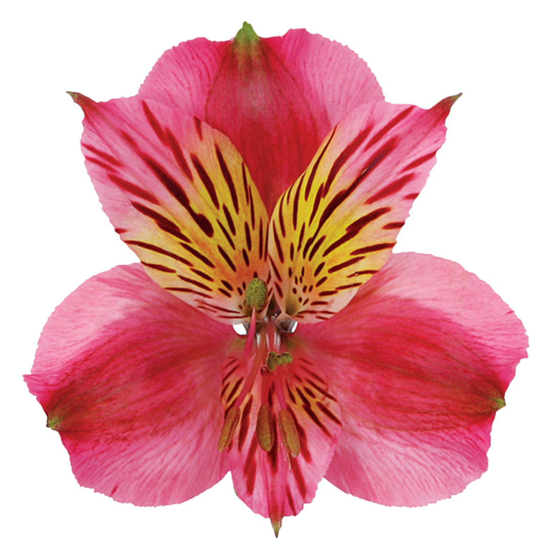 1 - 2026-01-23T153832.668