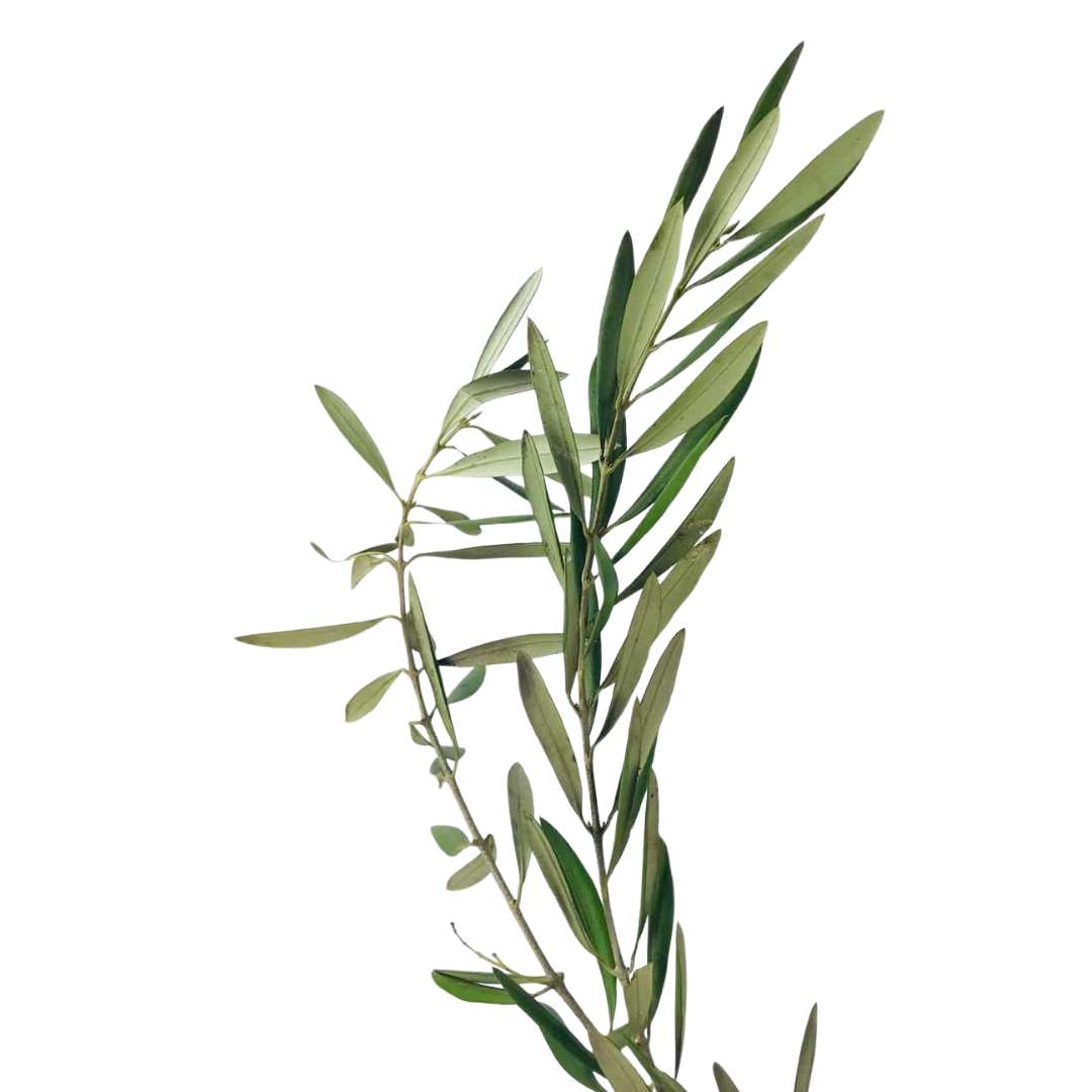 1 - 2026-01-23T154022.429