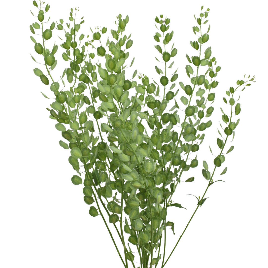 1 - 2026-01-23T154357.479