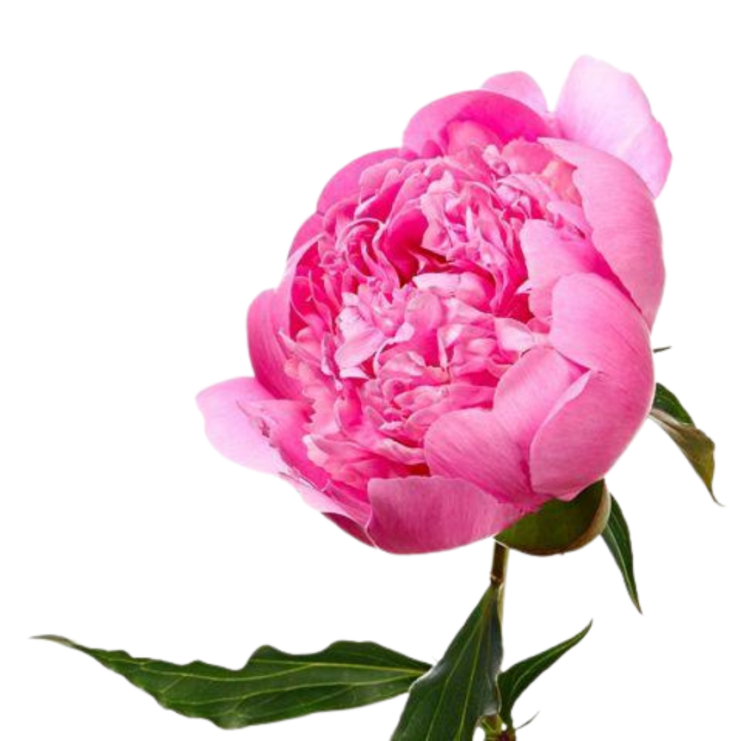 1 - 2026-01-23T154921.863