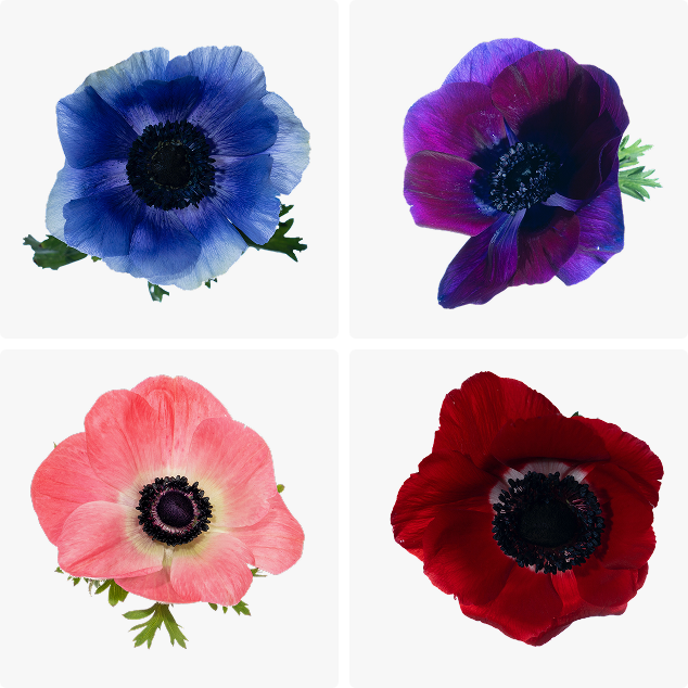 1-Mar-06-2026-01-49-38-2363-PM