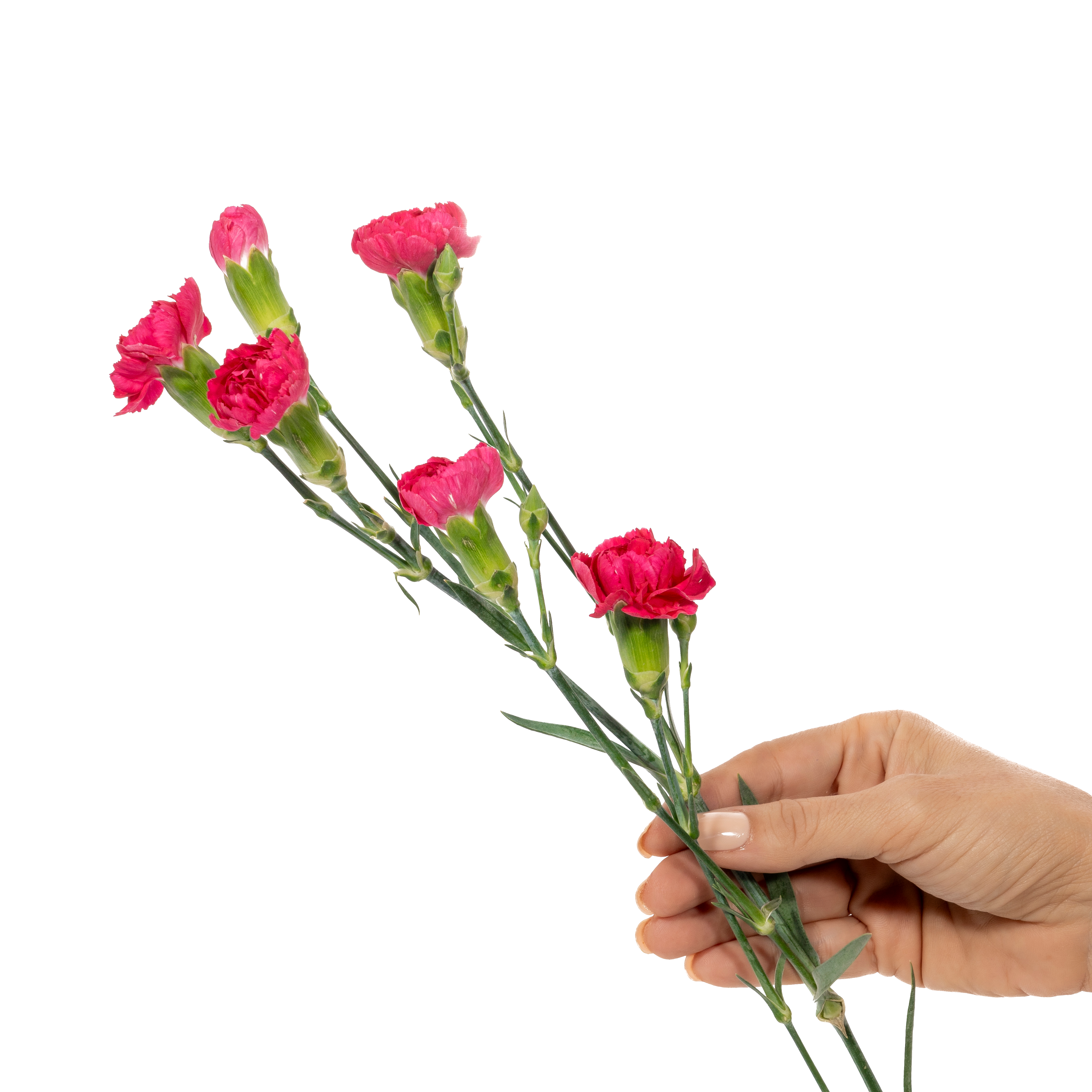 3-Jan-23-2026-02-24-32-8556-PM