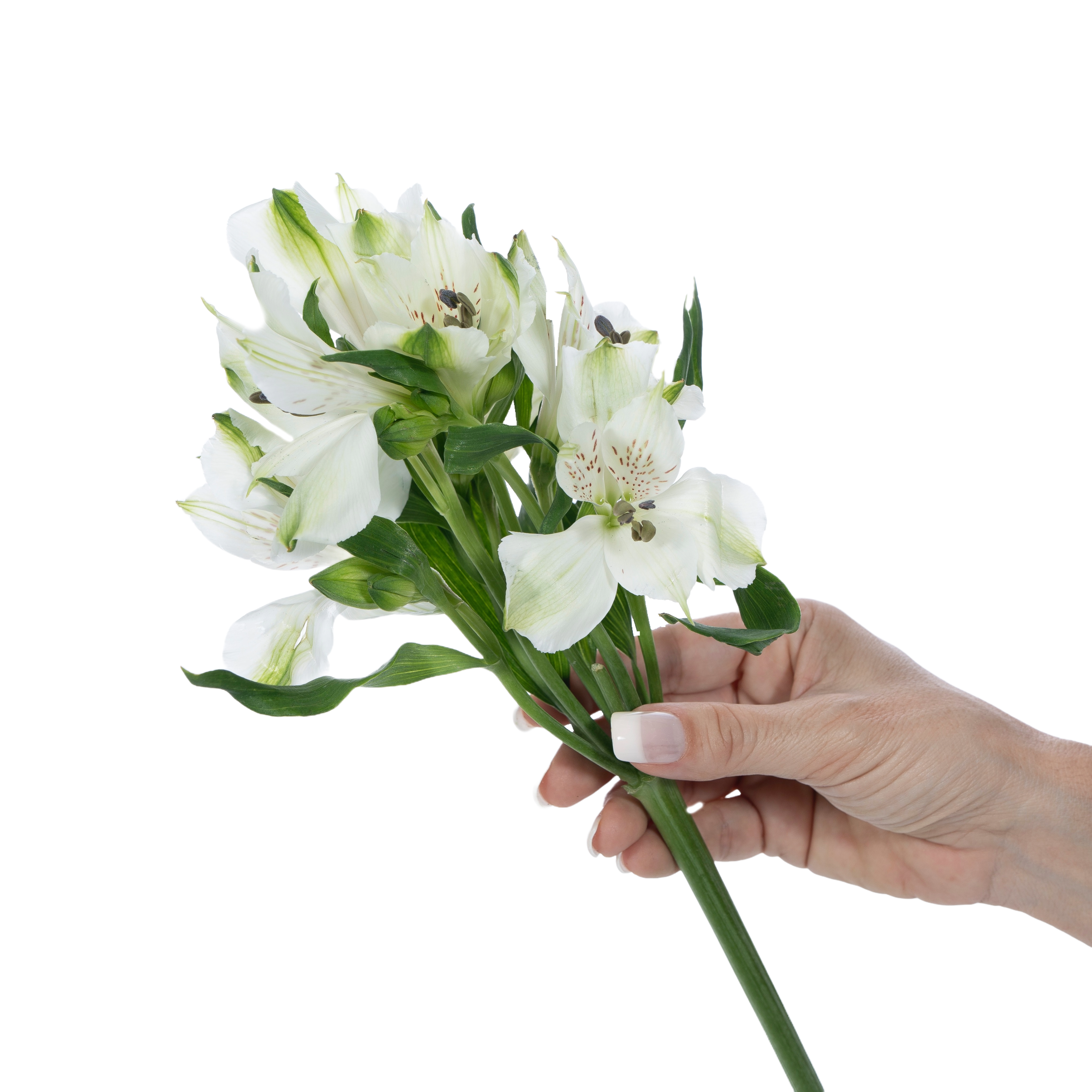 3-Jan-23-2026-02-34-14-4629-PM