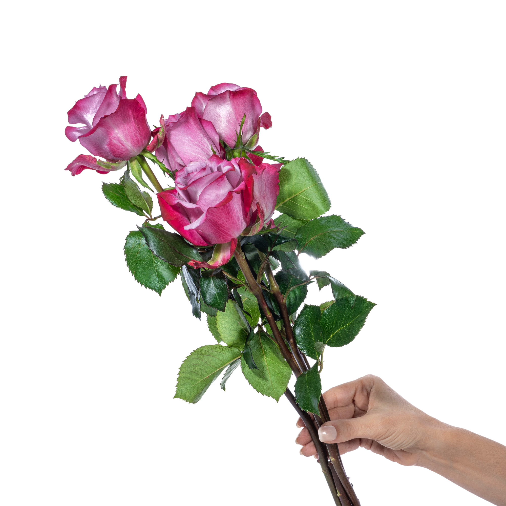 4-Jan-23-2026-02-21-31-2464-PM