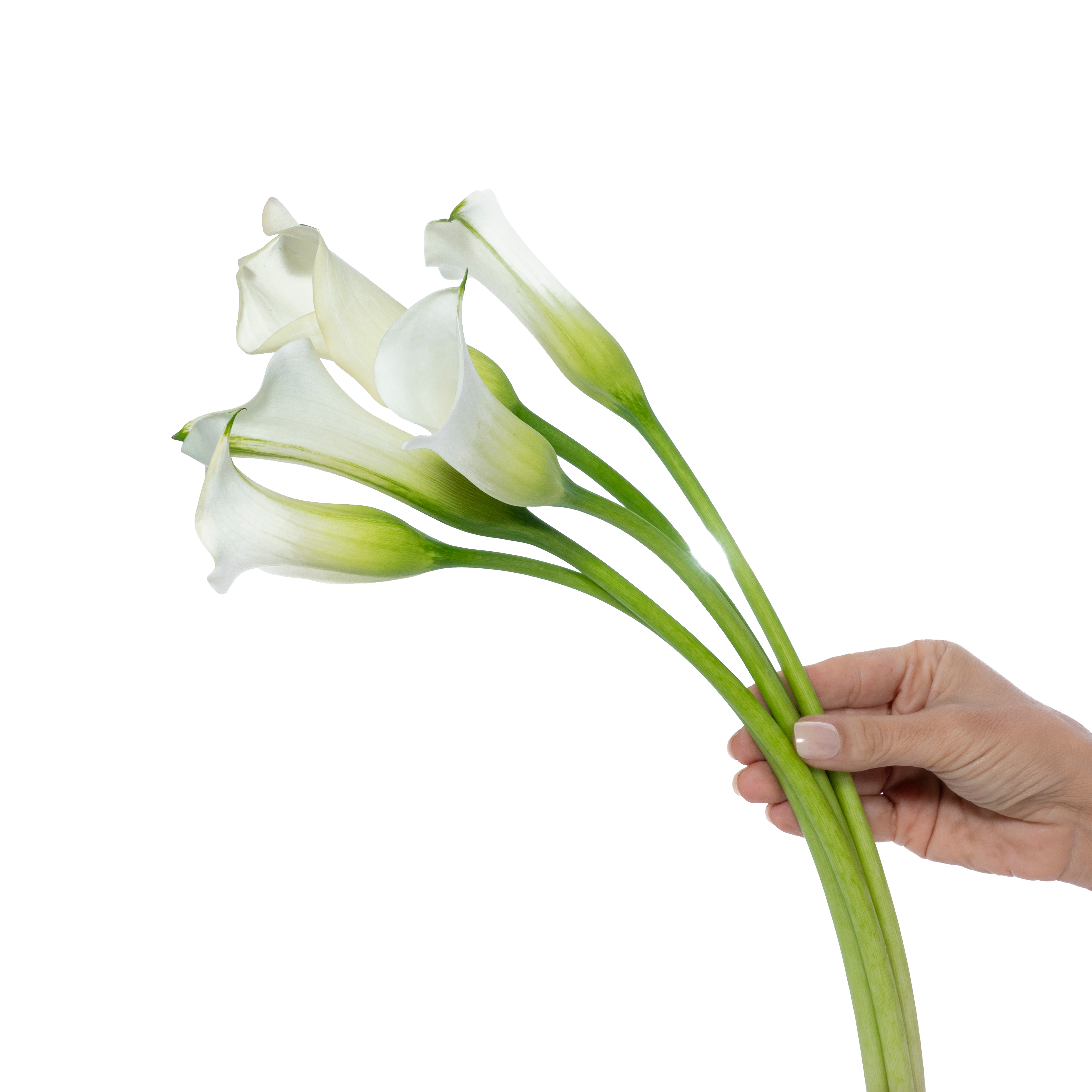 4-Jan-23-2026-02-41-13-5143-PM