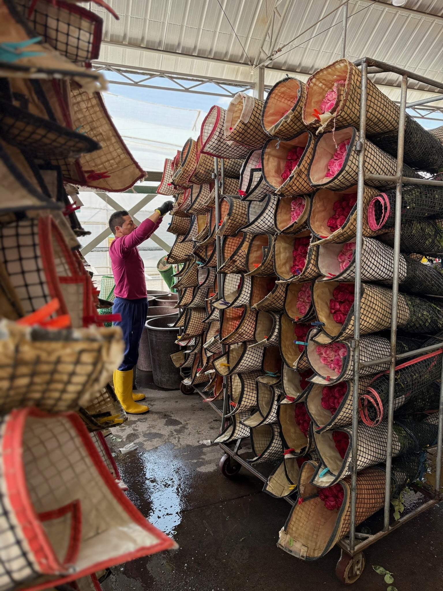 Why We Reintroduced Dutch Flowers to iBuyFlowers