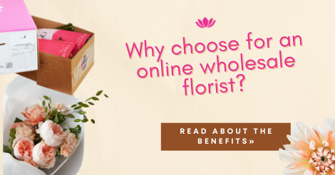 Blog banner